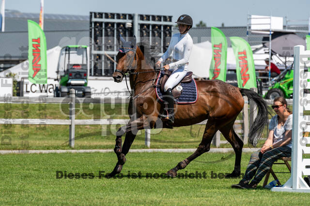 Kronenberg - De Peelbergen (August 2020)