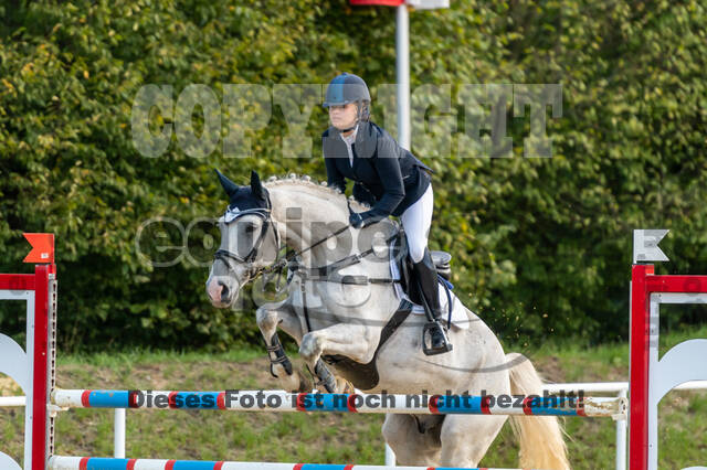 RFV Dinslaken-Hiesfeld (Herbstturnier)