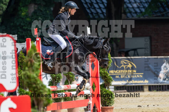 Goldene Schärpe 2021 - Ponys