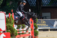 Goldene Schärpe 2021 - Ponys