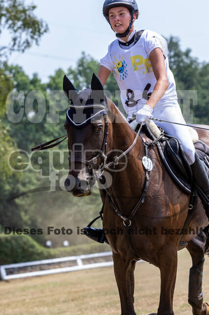 Late-Entry Vielseitigkeit Hamminkeln/Wesel (01.+02.08.2020)