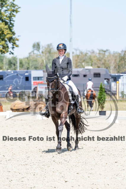 Kronenberg - De Peelbergen (August 2020)