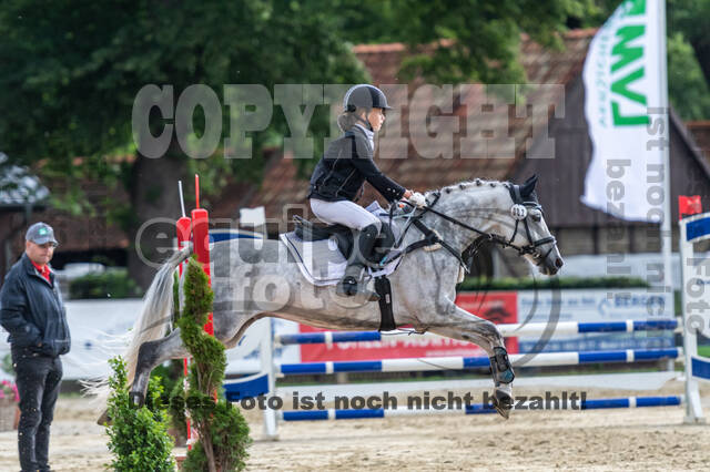 Goldene Schärpe 2021 - Ponys