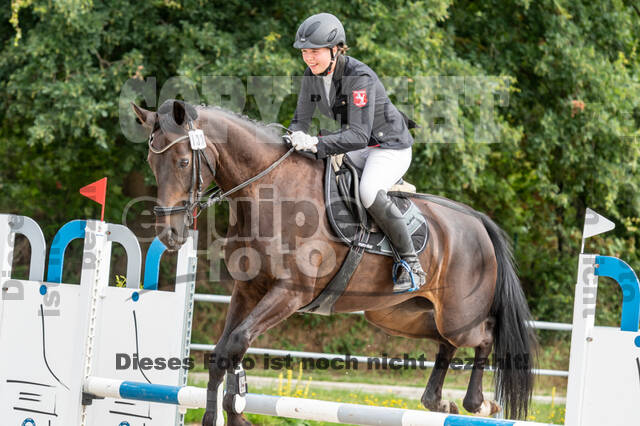 Late-Entry-Vielseitigkeit Langenfeld (06.+07.07.2020)