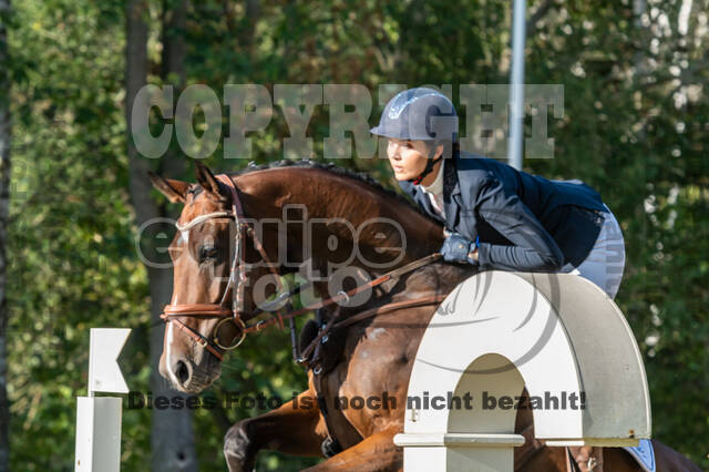 RFV Dinslaken-Hiesfeld (Herbstturnier)