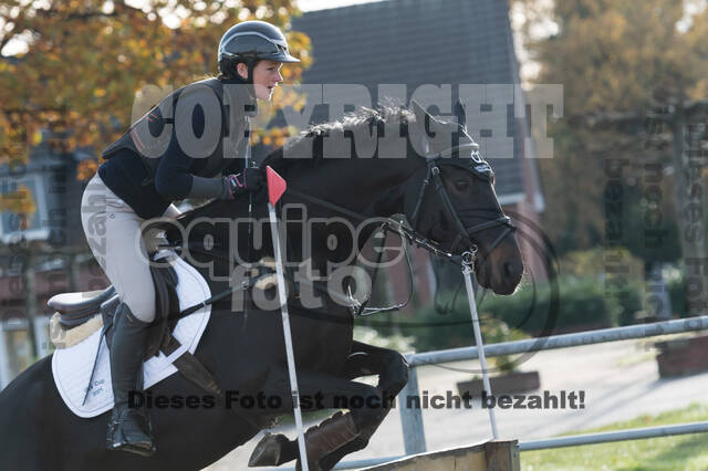 IGV Lehrgang der Sieger der Cups mit Frank Ostholt