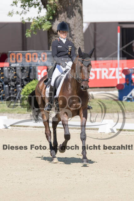 FEI European Championship Eventing 2017