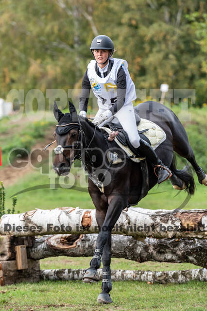 Vielseitigkeit RSV Wesel Obrighoven (26.+27.09.2020)