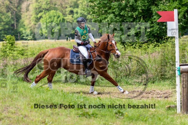 Westerstede Horse Trials (10.-13.06.2021)