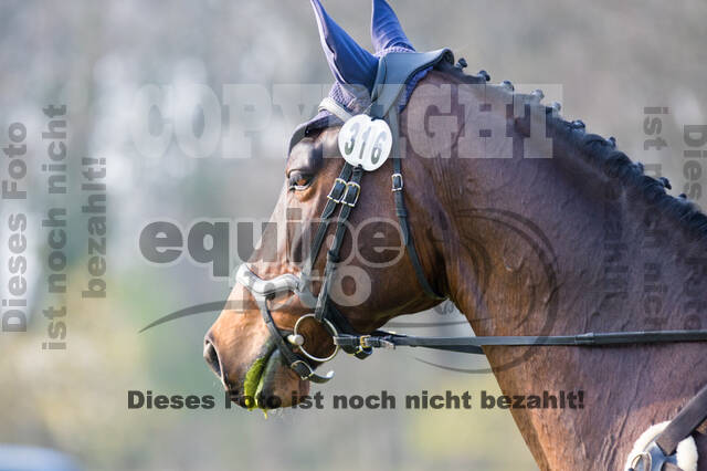 RV Seydlitz Kamp (06.+07.04.2019)