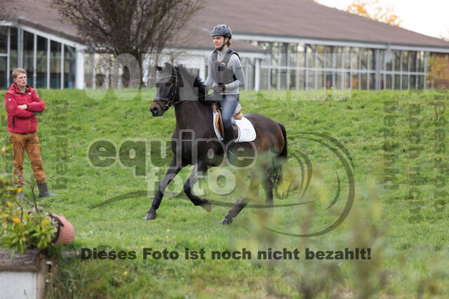 IGV Lehrgang der Sieger der Cups mit Frank Ostholt
