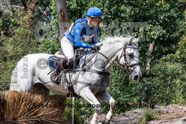 De Peelbergen (August 2020)