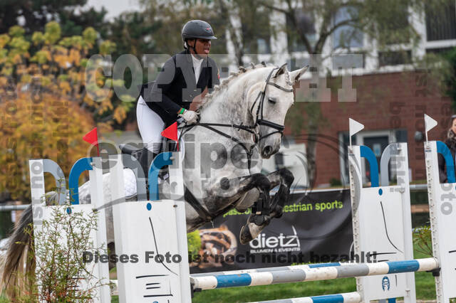 Goldene Schärpe 2020 - Pferde