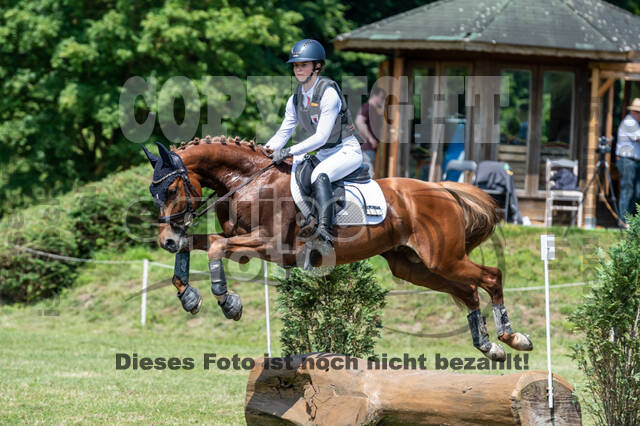 Goldene Schärpe 2021 - Ponys