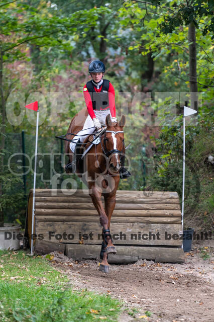 Goldene Schärpe 2020 - Pferde