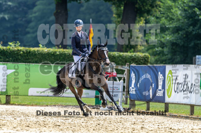 Goldene Schärpe 2021 - Ponys