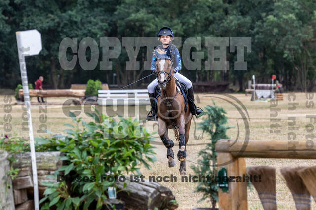 Late-Entry Vielseitigkeit Hamminkeln/Wesel (01.+02.08.2020)