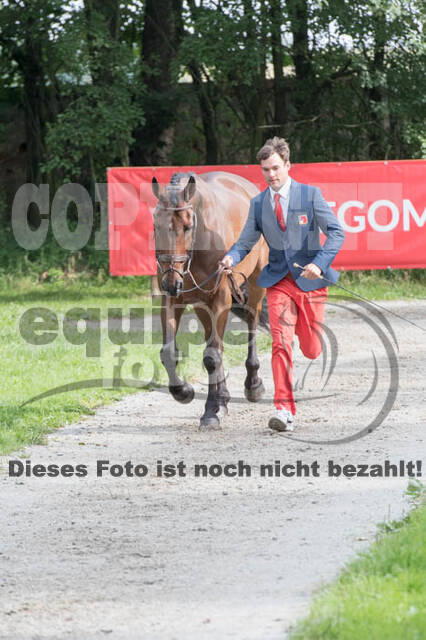 European Championship Eventing 2017
