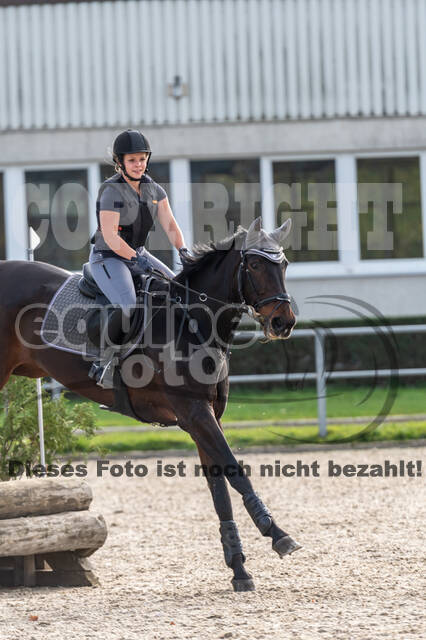 IGV Lehrgang der Sieger der Cups mit Frank Ostholt
