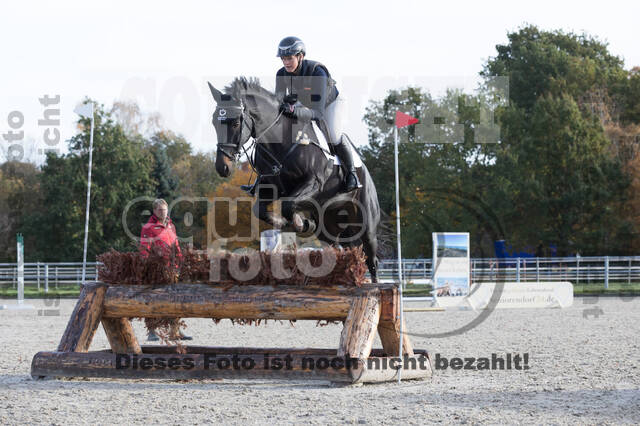 IGV Lehrgang der Sieger der Cups mit Frank Ostholt
