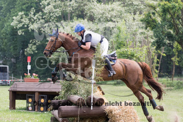 Vielseitigkeitsturnier ZRFV von Lützow Hamminkeln