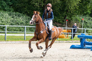 Late-Entry-Vielseitigkeit Langenfeld (11.+13./14.06.2020)