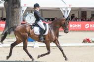 FEI European Championship Eventing 2017