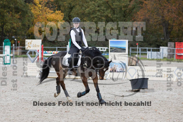 IGV Lehrgang der Sieger der Cups mit Frank Ostholt