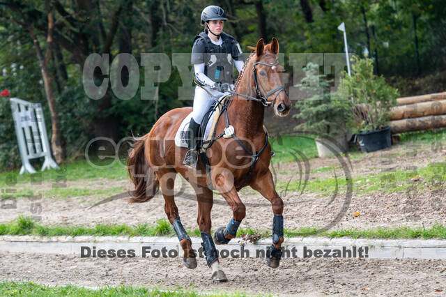 Goldene Schärpe 2020 - Pferde