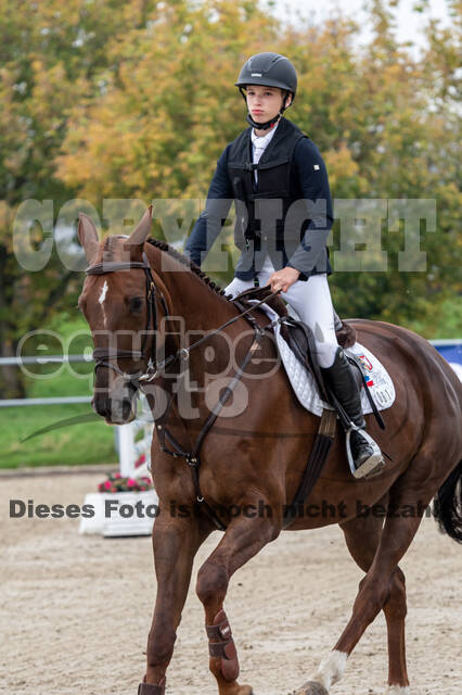 Goldene Schärpe 2020 - Pferde