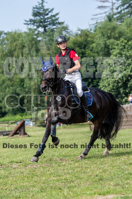 Goldene Schärpe 2021 - Ponys