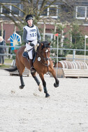 Eventing Langenfeld 2018