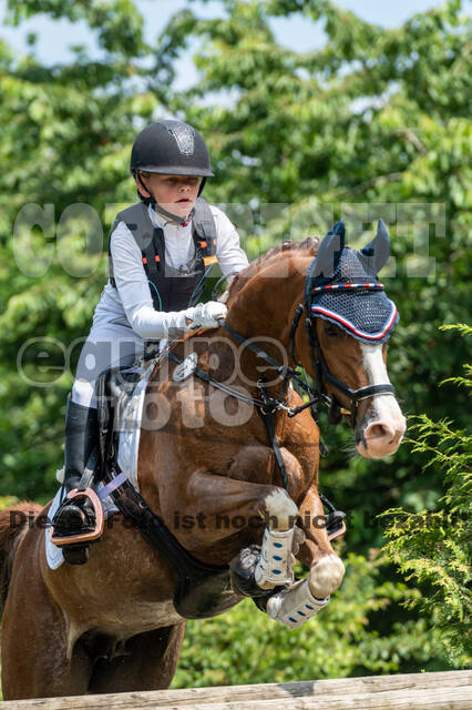 Goldene Schärpe 2021 - Ponys