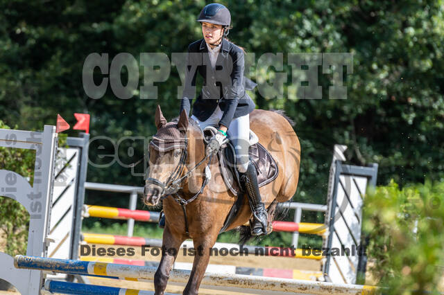 RFV Dinslaken-Hiesfeld (Herbstturnier)