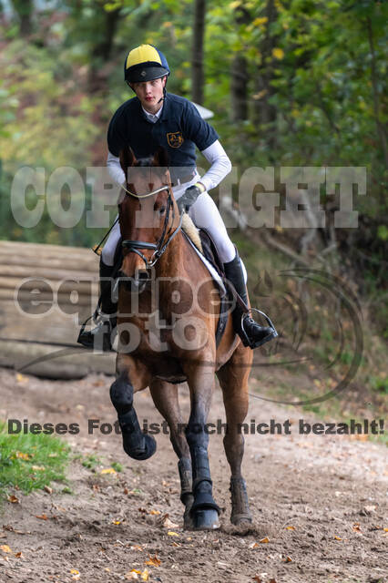 Goldene Schärpe 2020 - Pferde