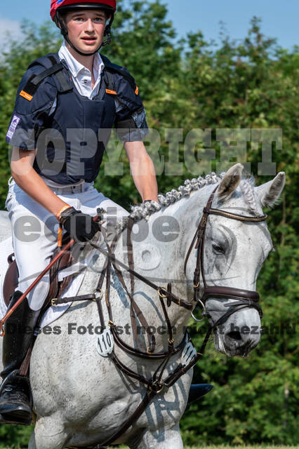 Goldene Schärpe 2021 - Ponys
