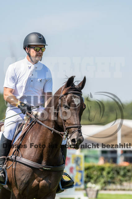 Kronenberg - De Peelbergen (August 2020)