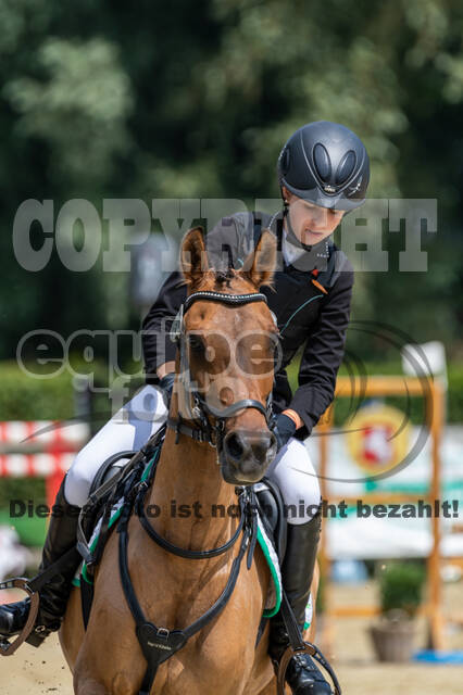 Goldene Schärpe 2021 - Ponys