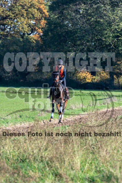 Vielseitigkeitslehrgang mit Jürg Kurbel (9.+10.11.2019)