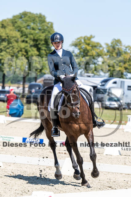 Kronenberg - De Peelbergen (August 2020)