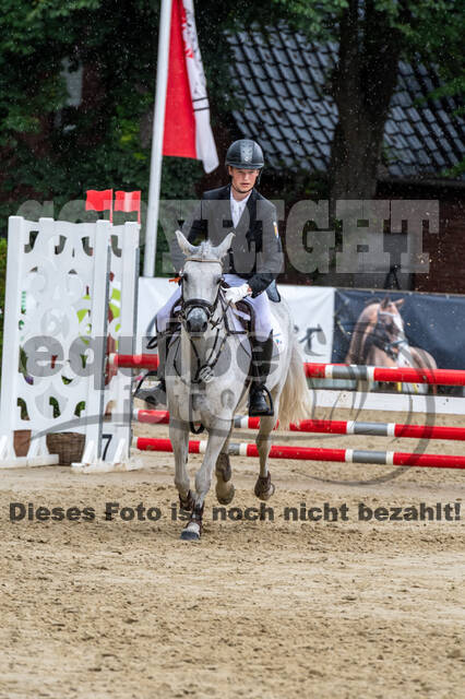 Goldene Schärpe 2021 - Ponys