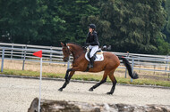 Late-Entry-Vielseitigkeit Langenfeld (11.+13./14.06.2020)