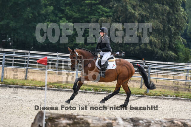 Late-Entry-Vielseitigkeit Langenfeld (11.+13./14.06.2020)
