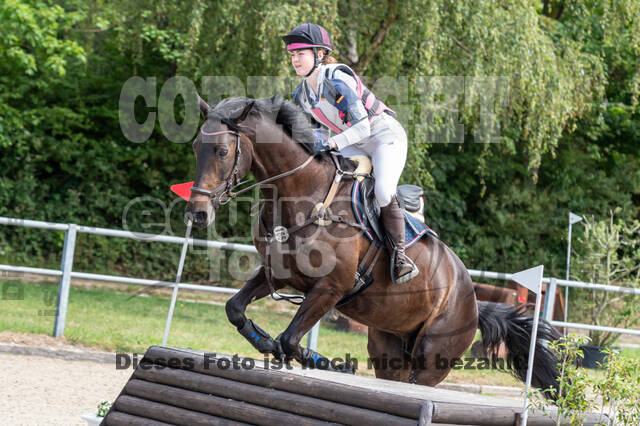 Late-Entry-Vielseitigkeit Langenfeld (11.+13./14.06.2020)