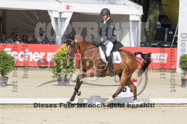 FEI European Championship Eventing 2017