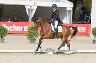 FEI European Championship Eventing 2017