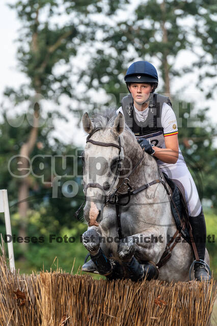 De Peelbergen (August 2020)