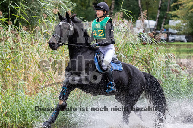 Vielseitigkeit RSV Wesel Obrighoven (26.+27.09.2020)