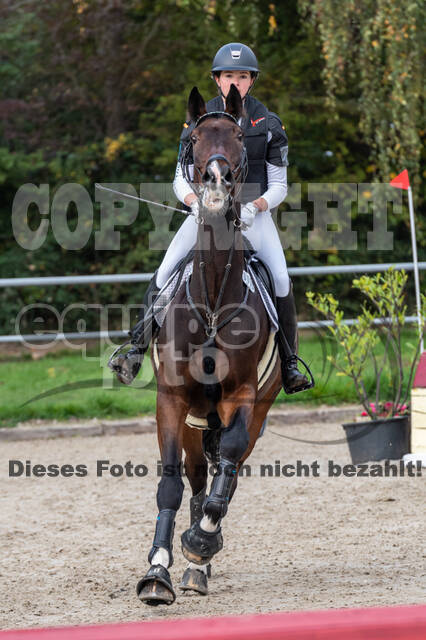 Goldene Schärpe 2020 - Pferde