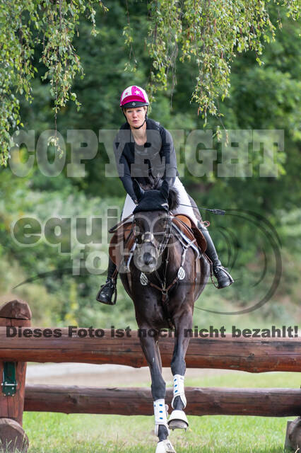 Late-Entry-Vielseitigkeit Langenfeld (11.+13./14.06.2020)